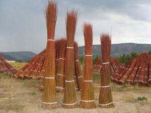 ABEL-VINDEL-BERMEJO-3-300×225