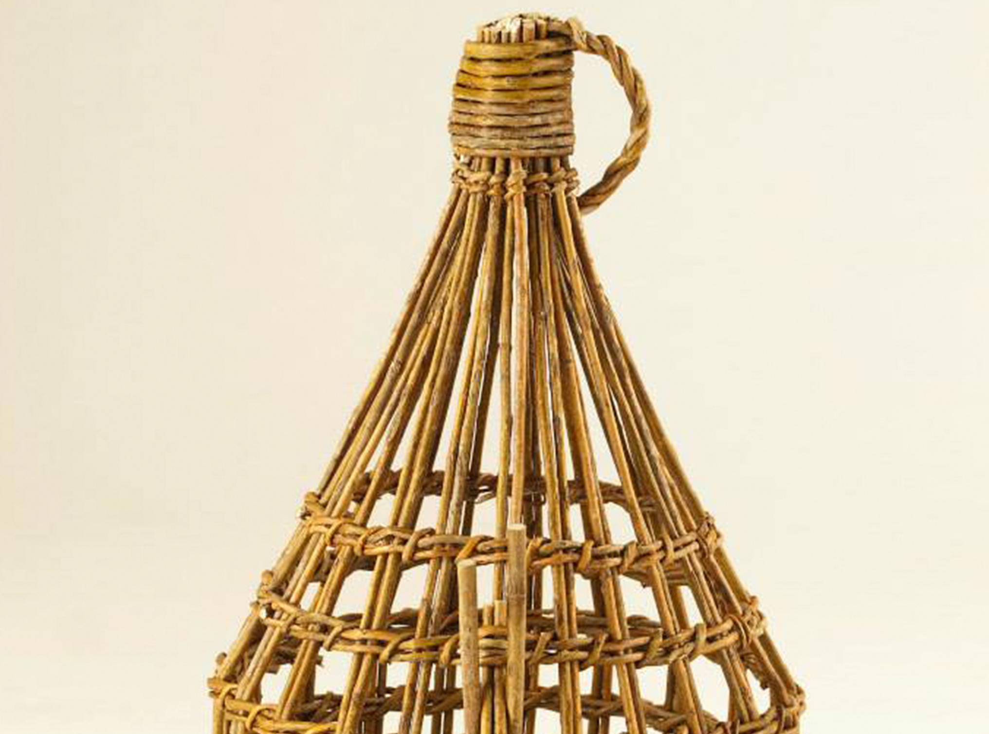 PAU-TREPAT-1